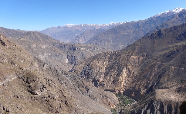 colca