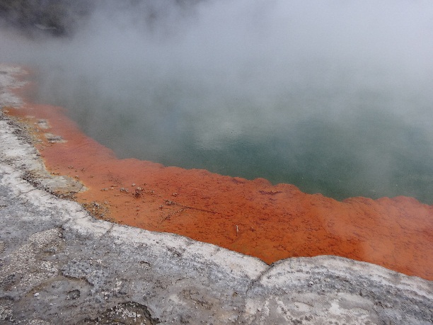 champagne pool